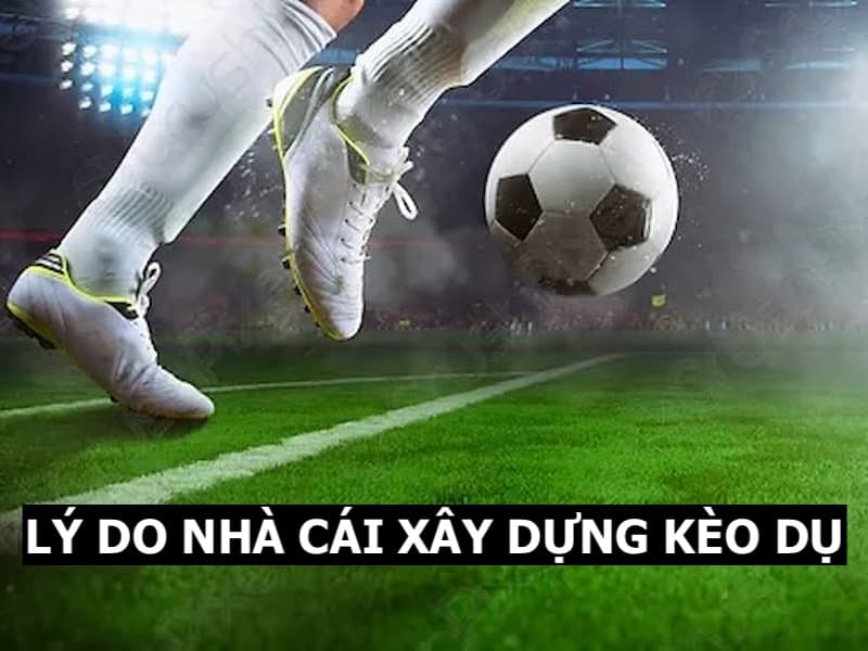 Lý do tại sao nhà cái xây dựng kèo dụ