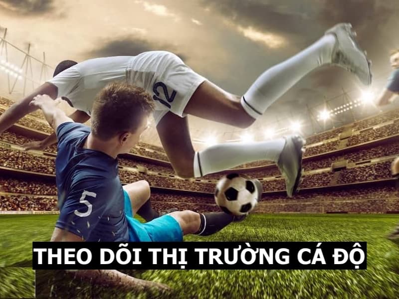 Né kèo dụ dễ dàng bằng cách theo dõi thông tin thị trường cá cược