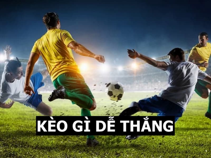 Kèo gì dễ thắng? Bật mí các loại cược dễ kiếm thưởng tại 23win