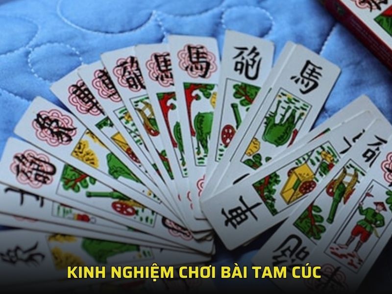 Kinh nghiệm chơi bài tam cúc 