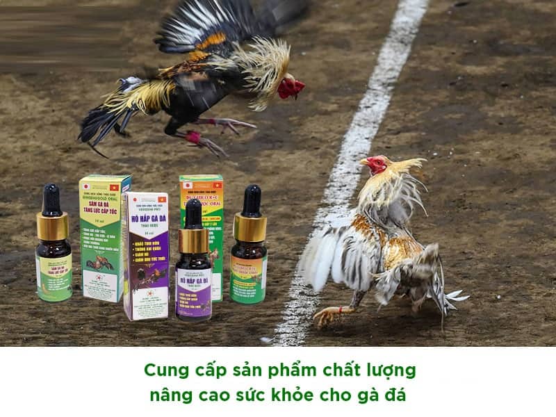 Thuốc gà đá giúp tăng chắc xương cực hiệu quả